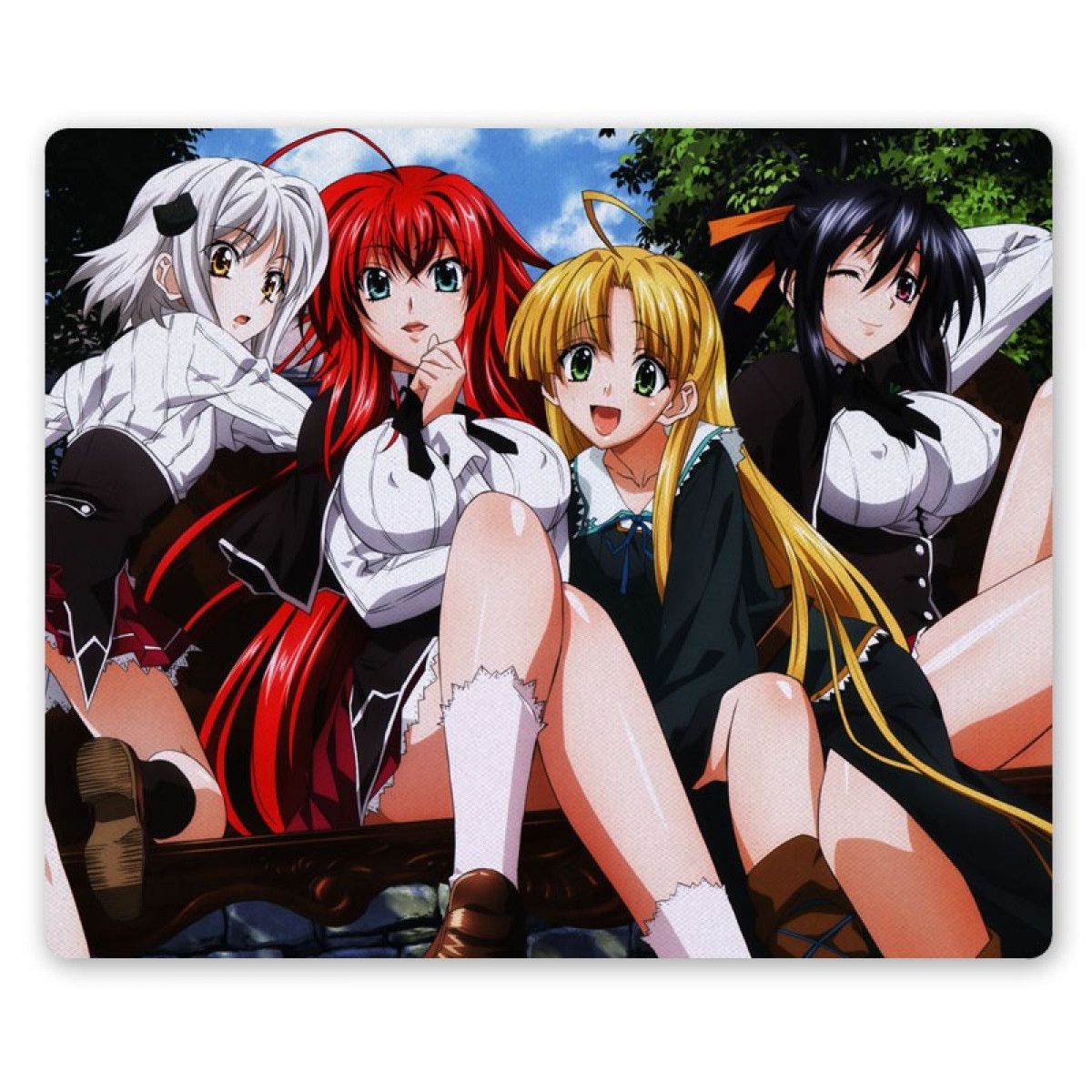 Коврик для мышки прямоугольный Демоны старшей школы / High School DxD -  купить с доставкой по выгодным ценам в интернет-магазине OZON (862148819)