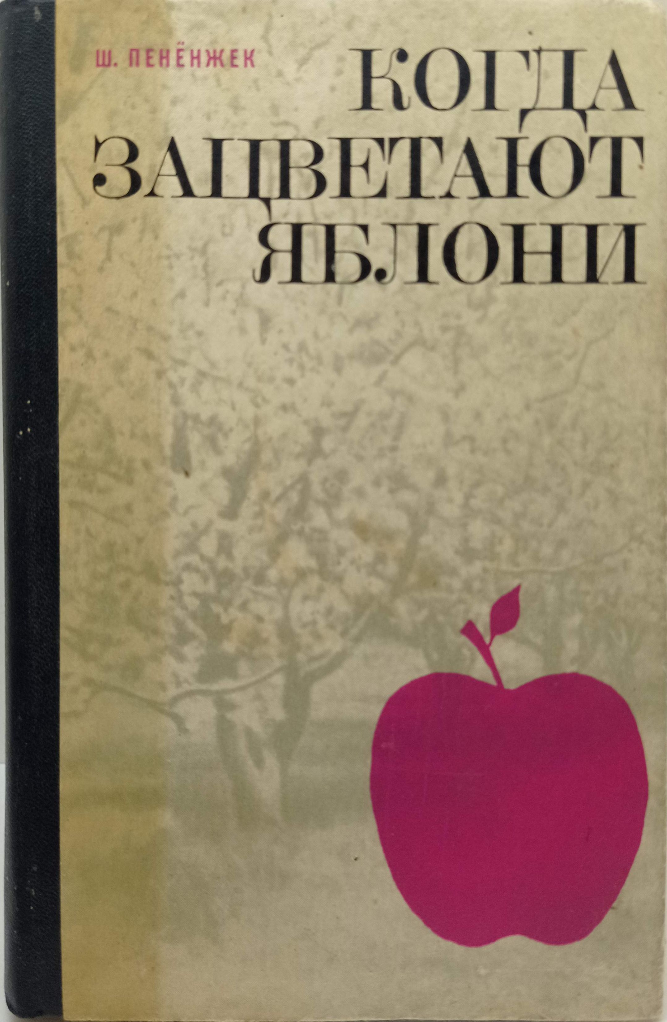 Доклад про яблоню. Яблоко желтое с красным бочком сорт. Яблоня читать. Яблоко надпись. Фразы про цветущую яблоню.