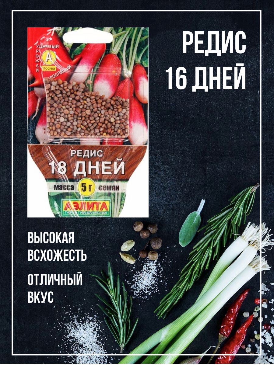 Редис 16 дней. Редис 16 дней