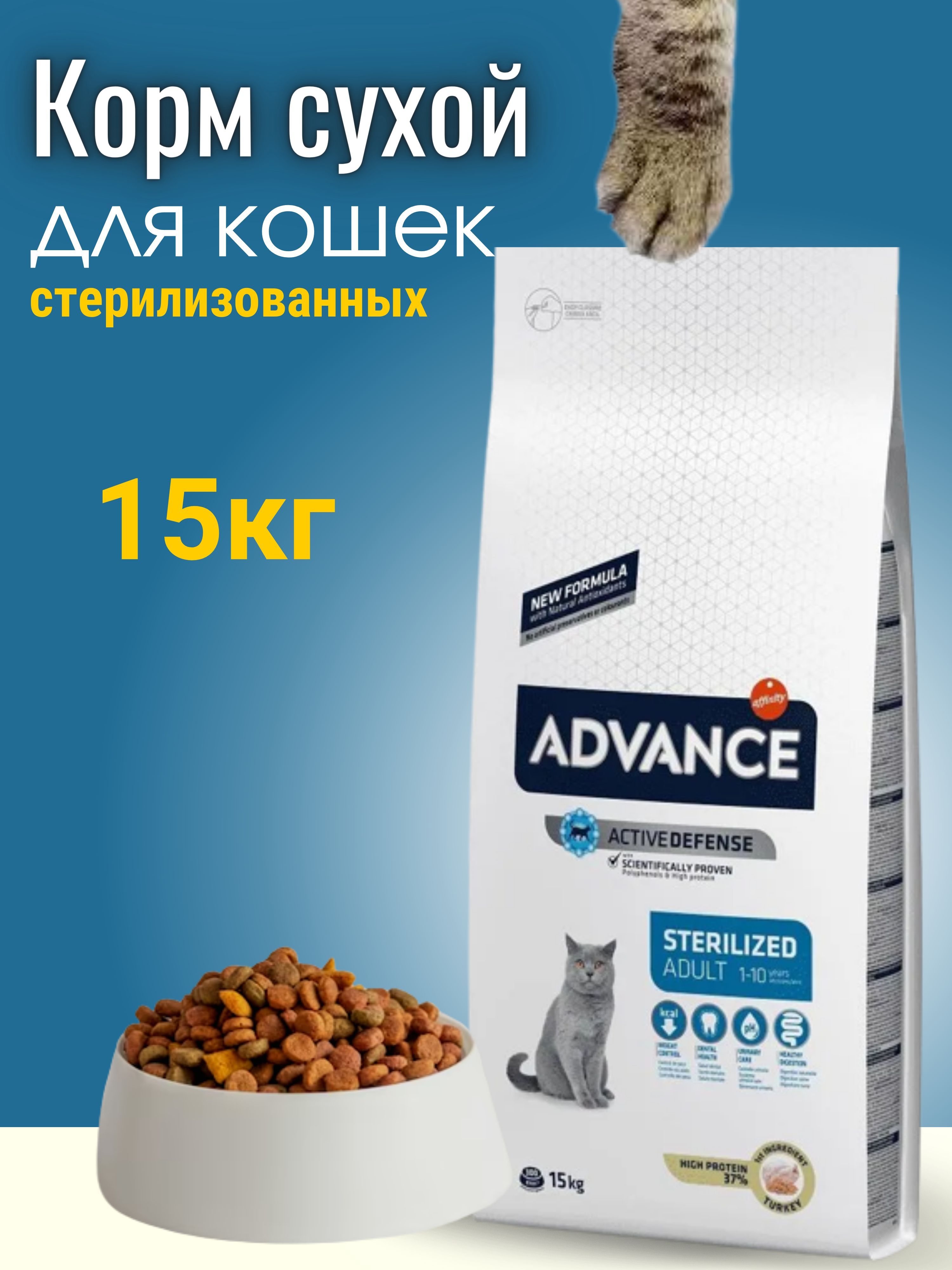 Advance корм для кошек. Корм Advance для котят. Корм Advance для котят русский. Корм Clan Sterilized отзывы.