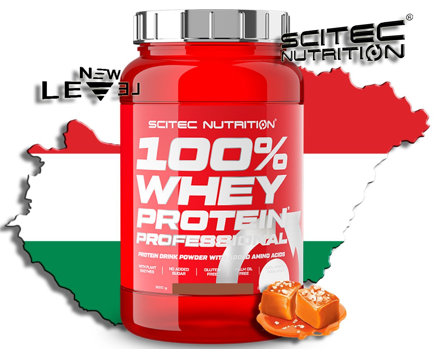 Scitec Nutrition 100 Whey Protein Professional Купить