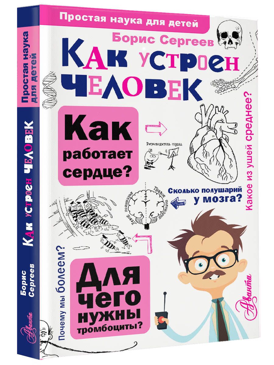 Как устроен человек | Сергеев Борис Федорович