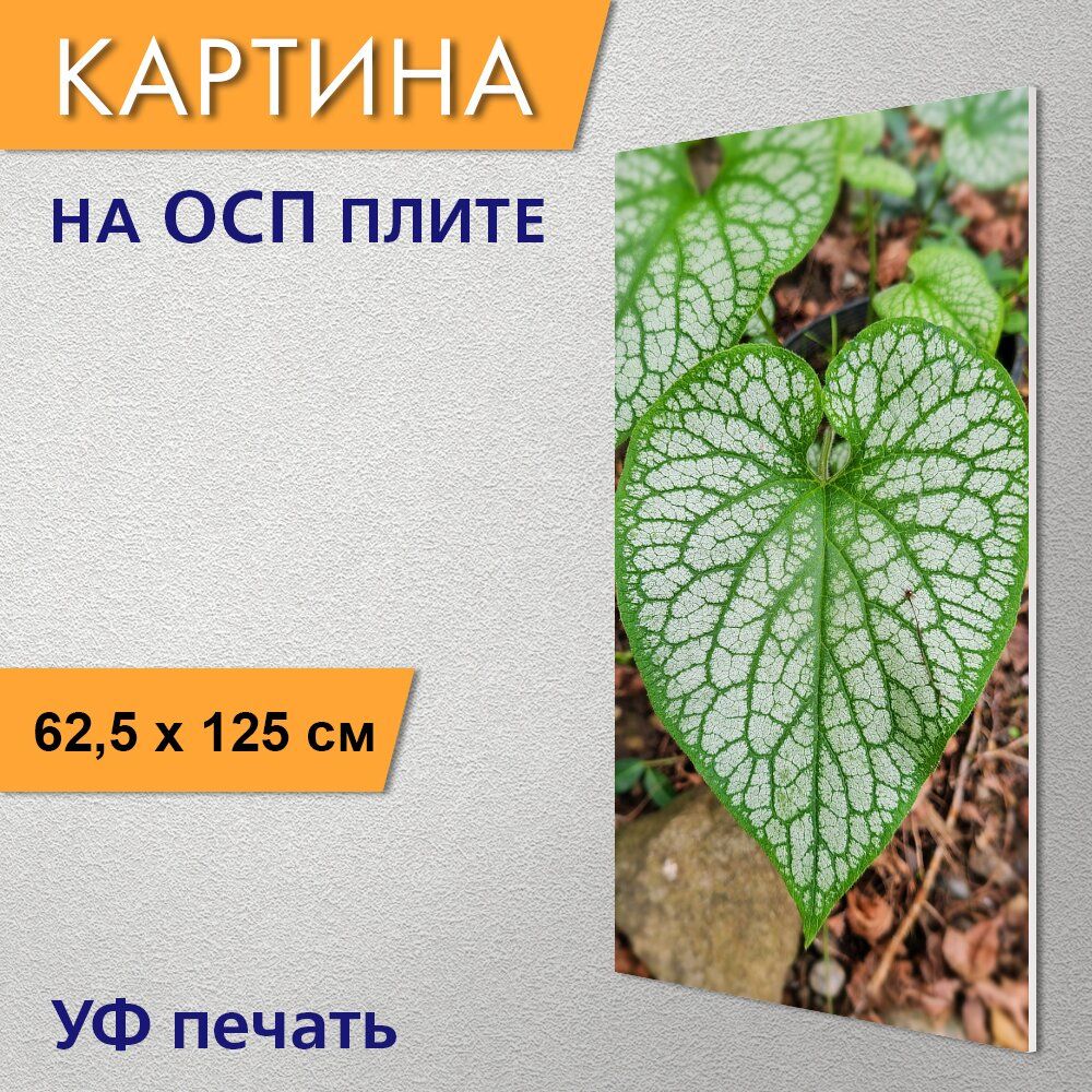 Хост лист голосование 2024. Хост лист голосование 2024. Хоста мэйпл лифс. Tp-link tl-wr1043nd v2. Tp link advanced security.