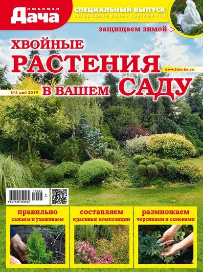 Любимая дача. Спецвыпуск No05/2019. Хвойные растения в вашем саду | Электронная книга