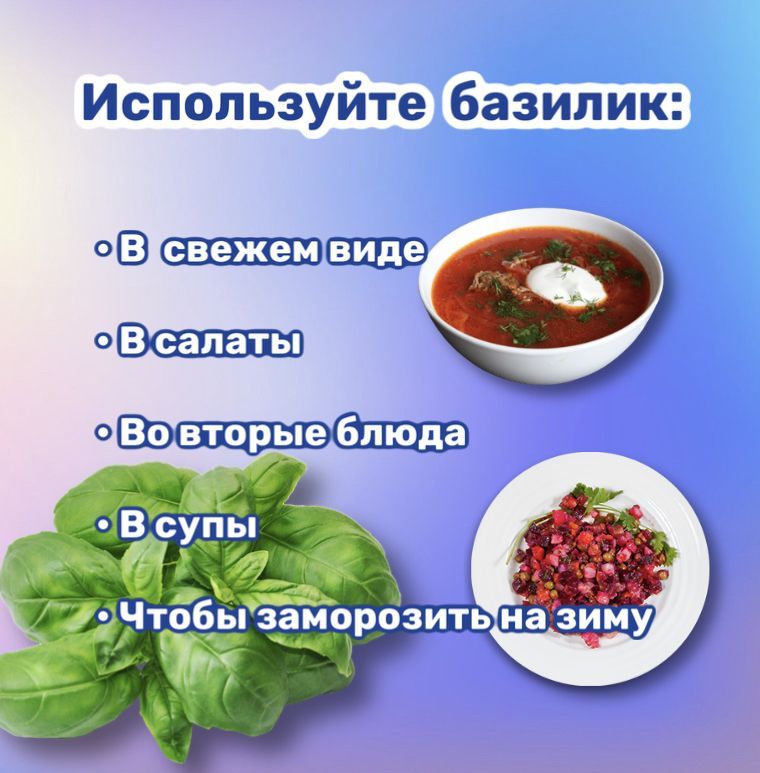 Лавр Семена Купить