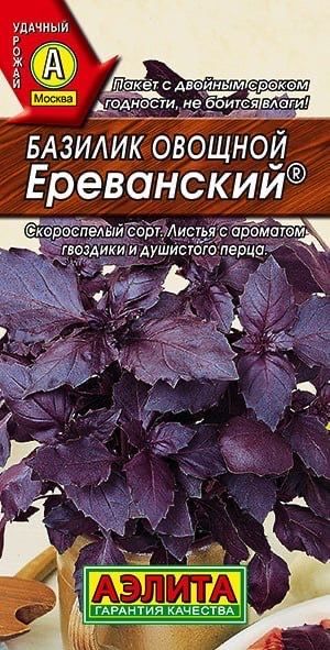 БАЗИЛИК ЕРЕВАНСКИЙ. Семена. Вес 0,3 гр. Скороспелый сорт.