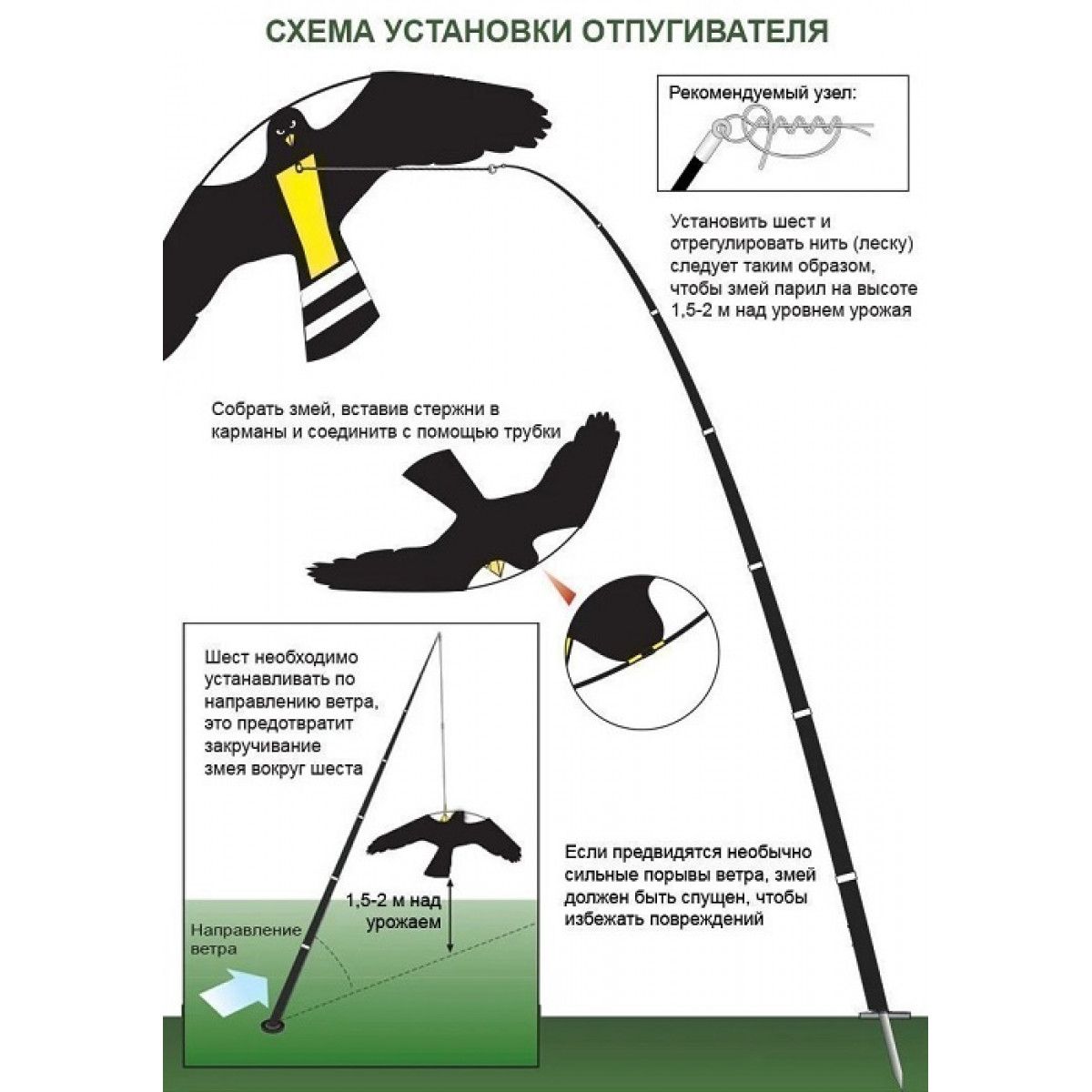 Картинки Для Отпугивания Птиц