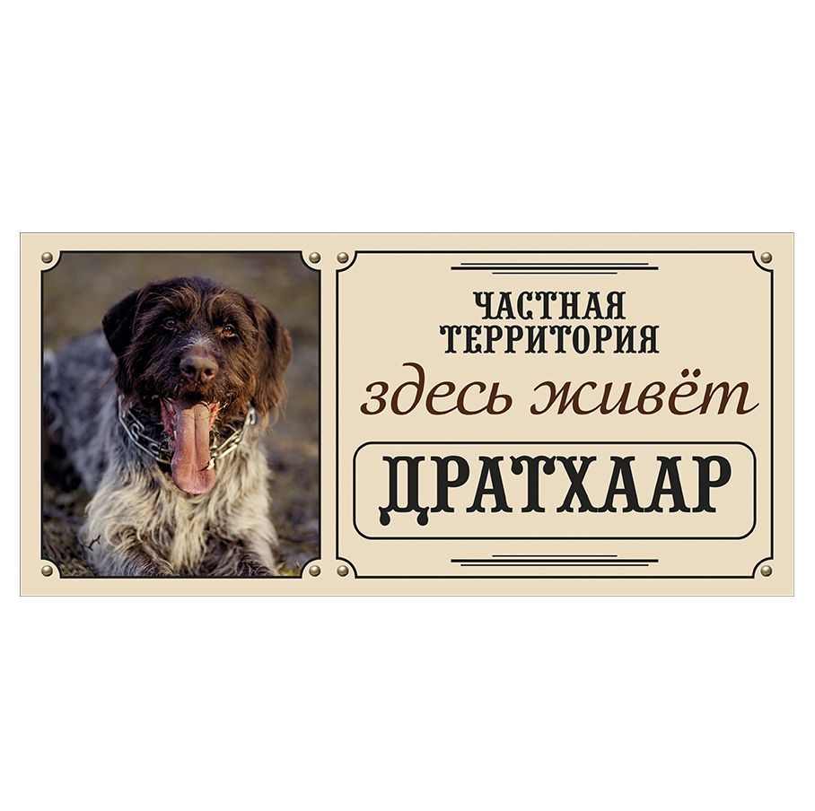 Где тут собака. Где тут собака