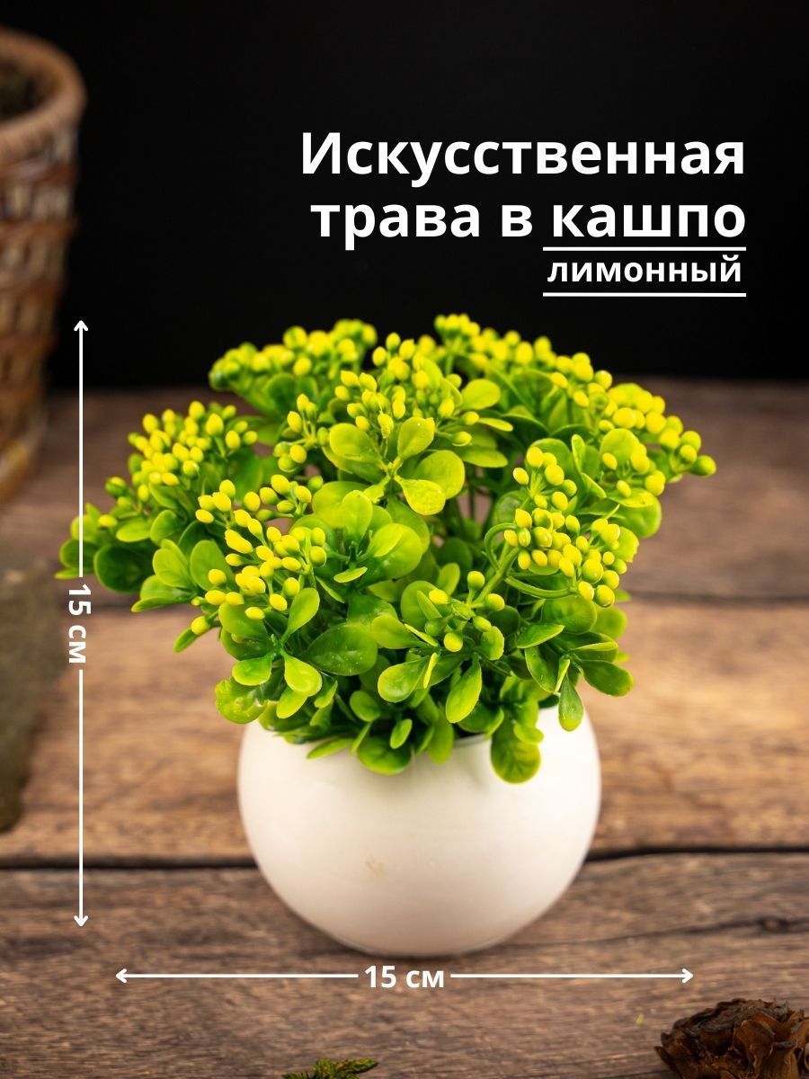 Купить Искусственная трава в кашпо, Декоративные цветы, лимонный по  выгодной цене в интернет-магазине OZON.ru (941329963)