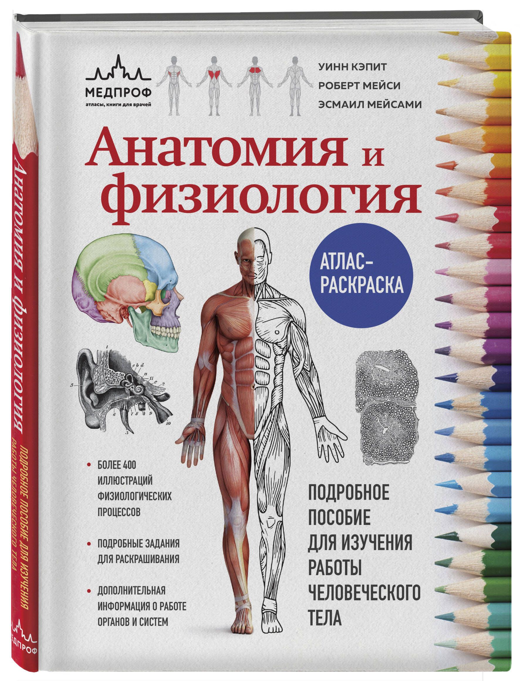 Анатомия и физиология. Атлас-раскраска | Кэпит Уинн, Мейси Роберт - купить  с доставкой по выгодным ценам в интернет-магазине OZON (1011780731)