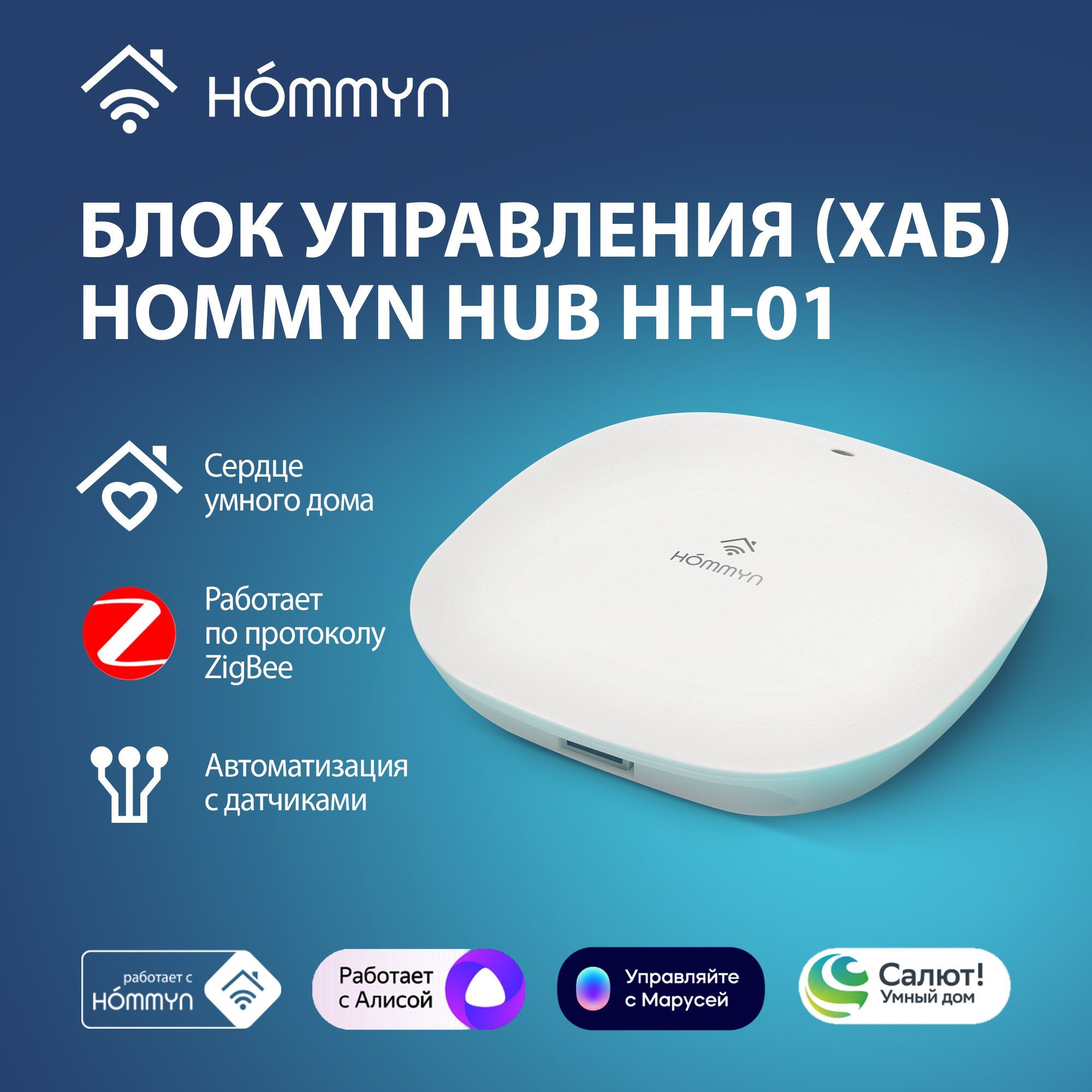 Блок управления (шлюз) Hommyn Hub HH-01