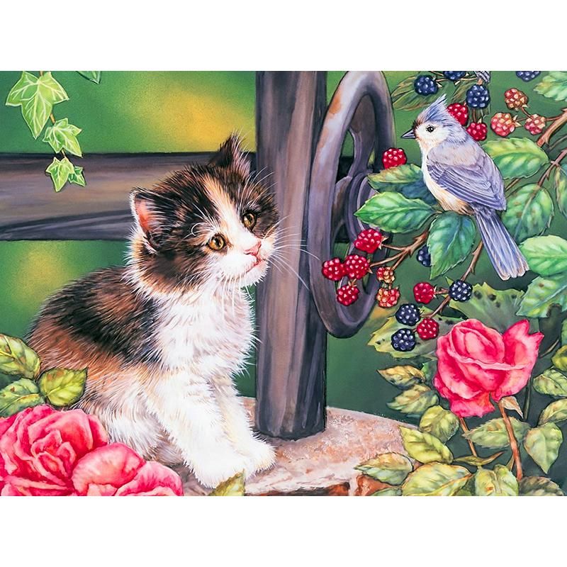 Птички для кошки