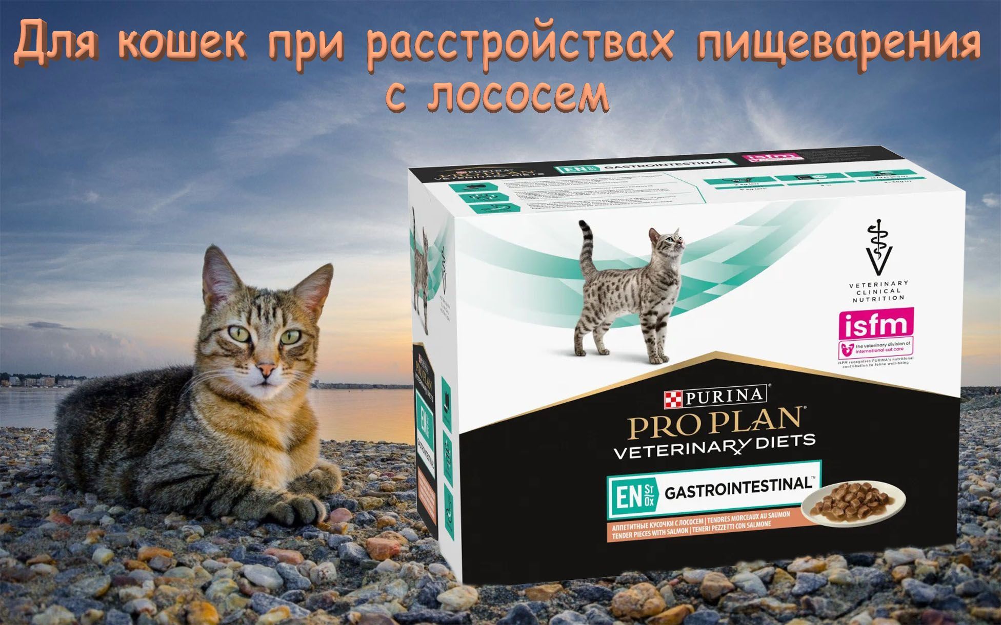Gastrointestinal корм для кошек купить. Корм для кошек Флорида preventive line Gastrointestinal. Pro Plan Veterinary Diets en Gastrointestinal при расстройствах пищеварения цены.