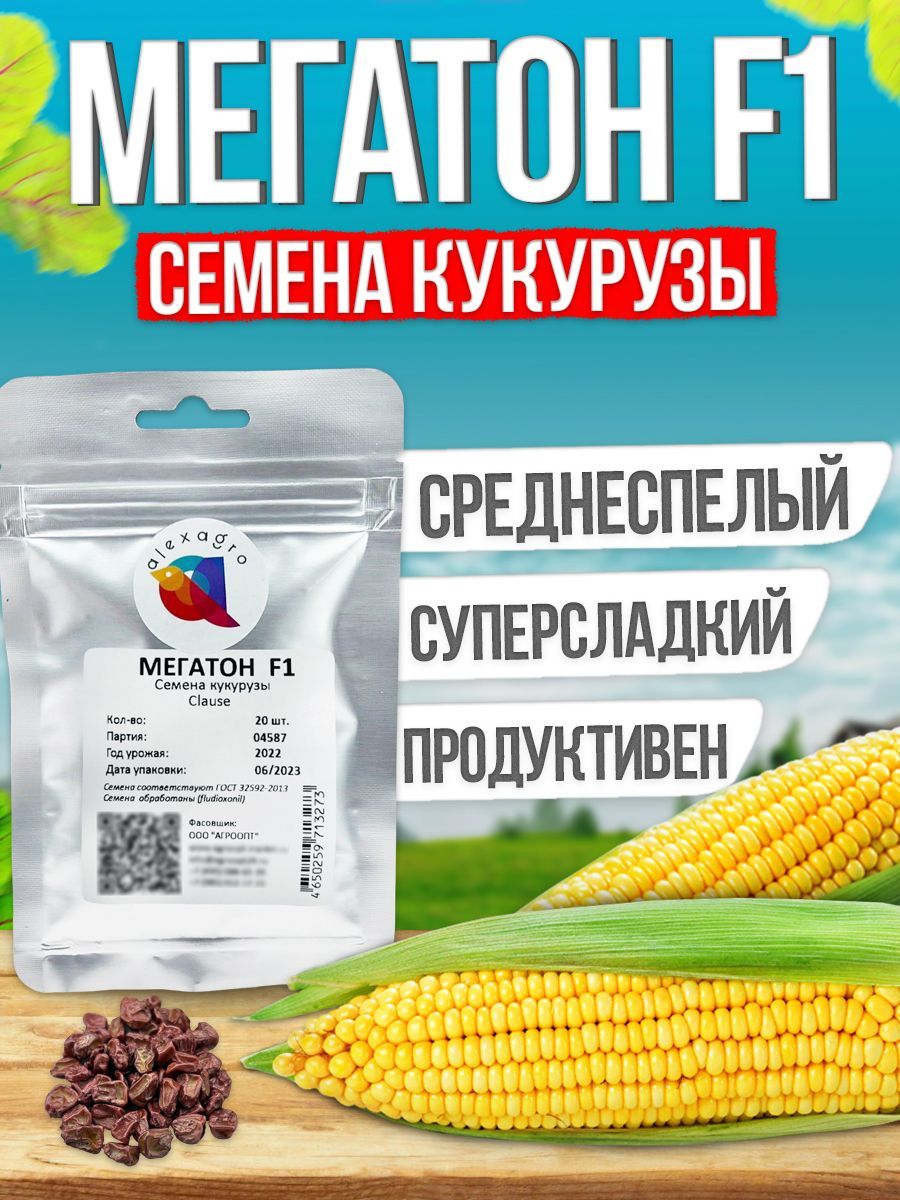 Мегатон F1 семена кукурузы (Clause /ALEXAGRO) (20 шт.)