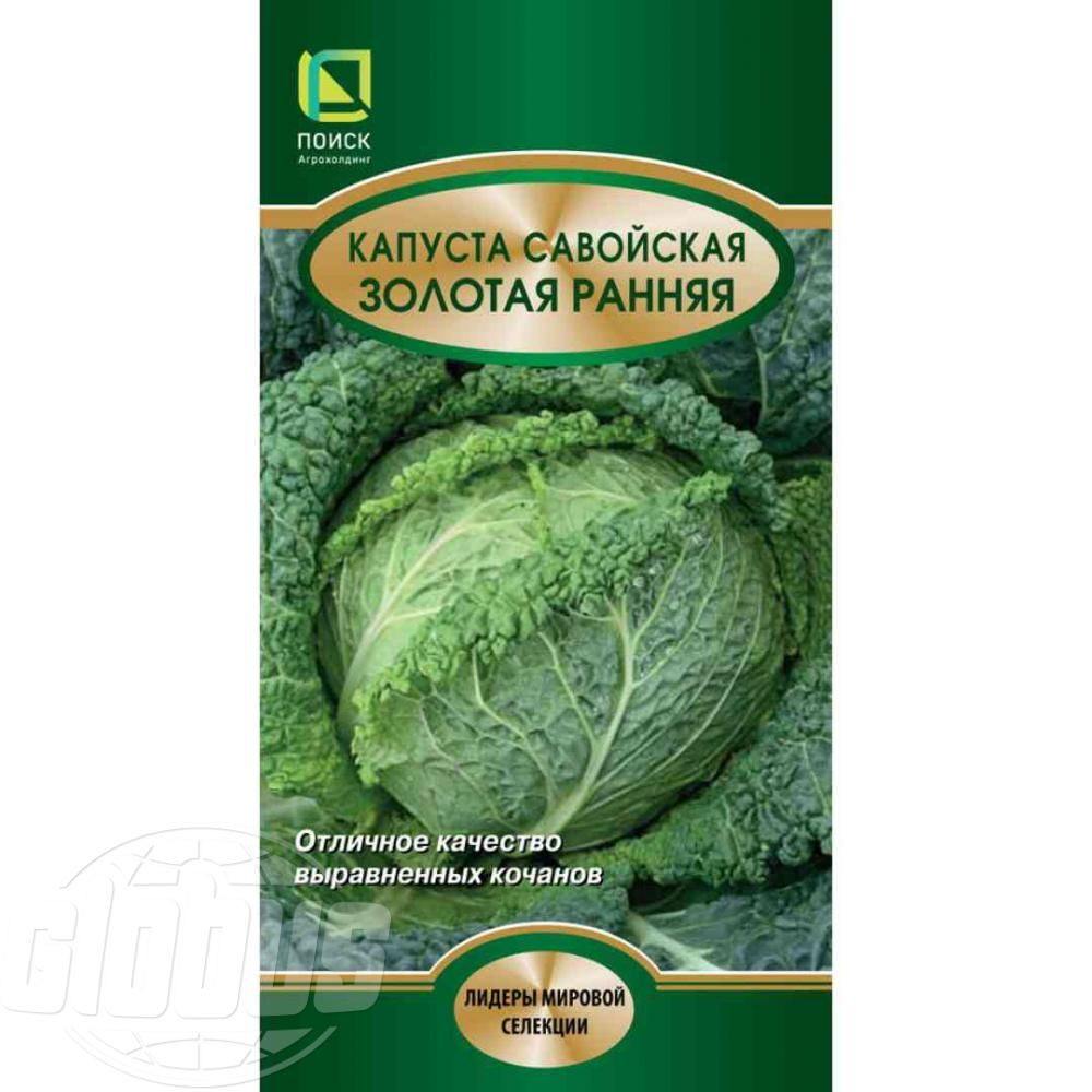 Савойская Капуста Купить В Москве Вкусвилл