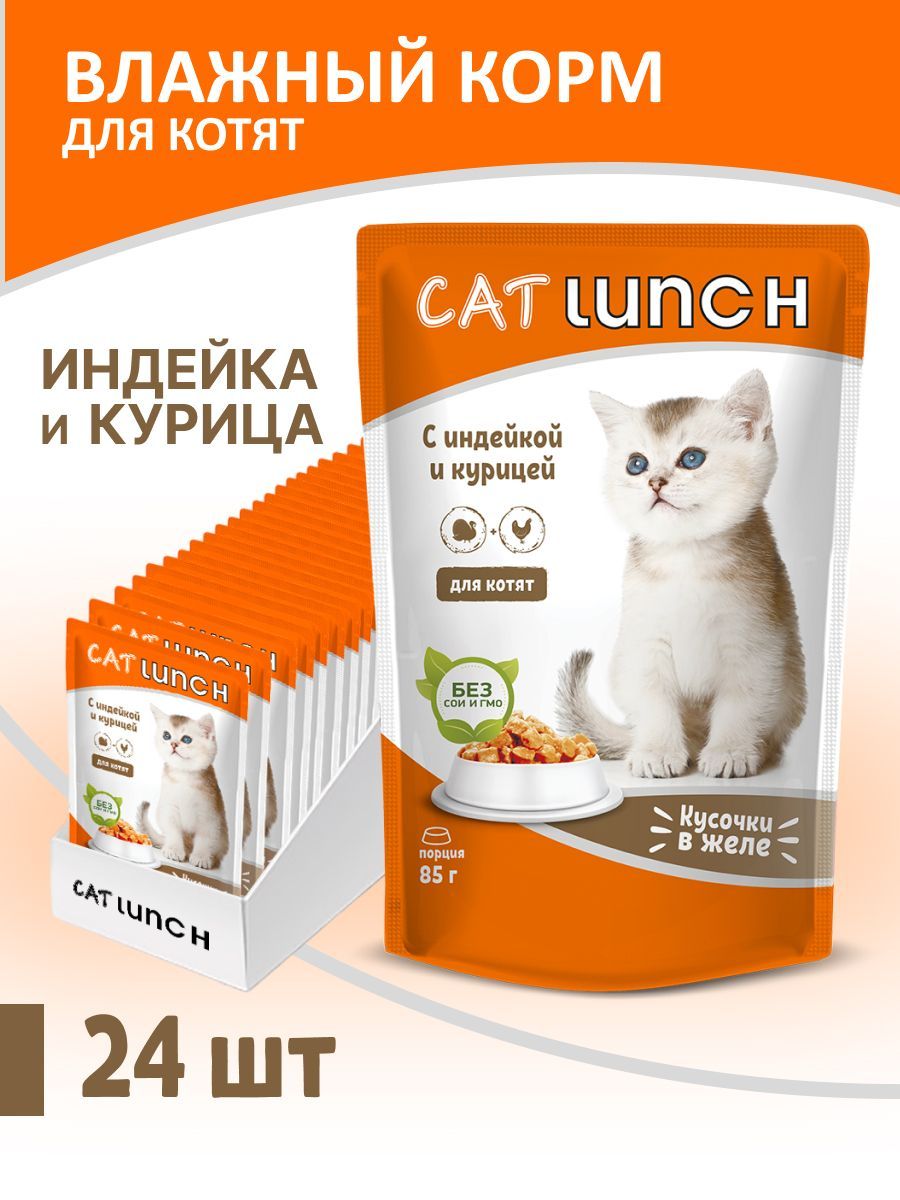 Влажный корм для котят Cat Lunch кусочки в желе Индейка и Курица, паучи по  85г (24 шт. в упаковке) - купить с доставкой по выгодным ценам в  интернет-магазине OZON (688665030)