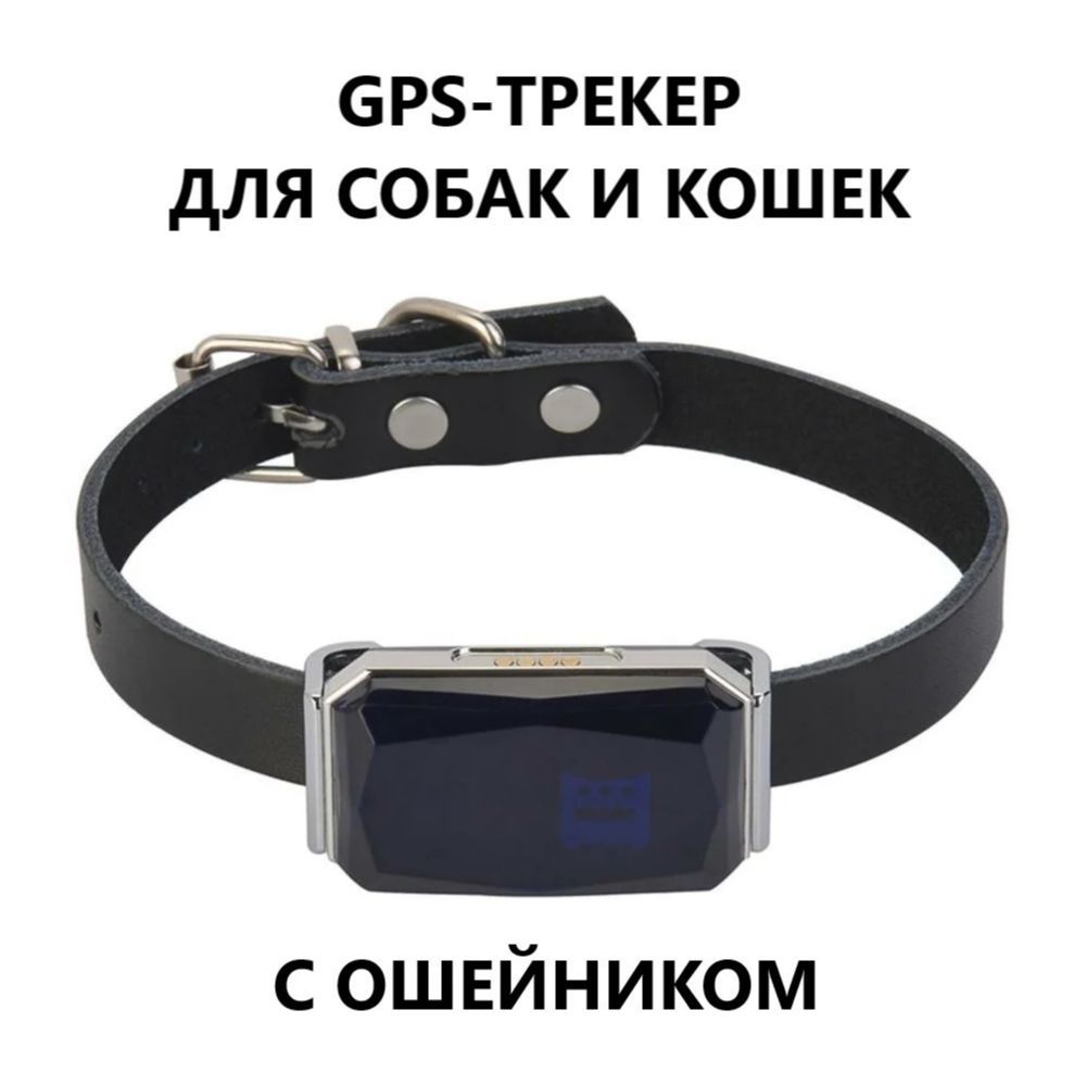 GPS-трекер для питомца