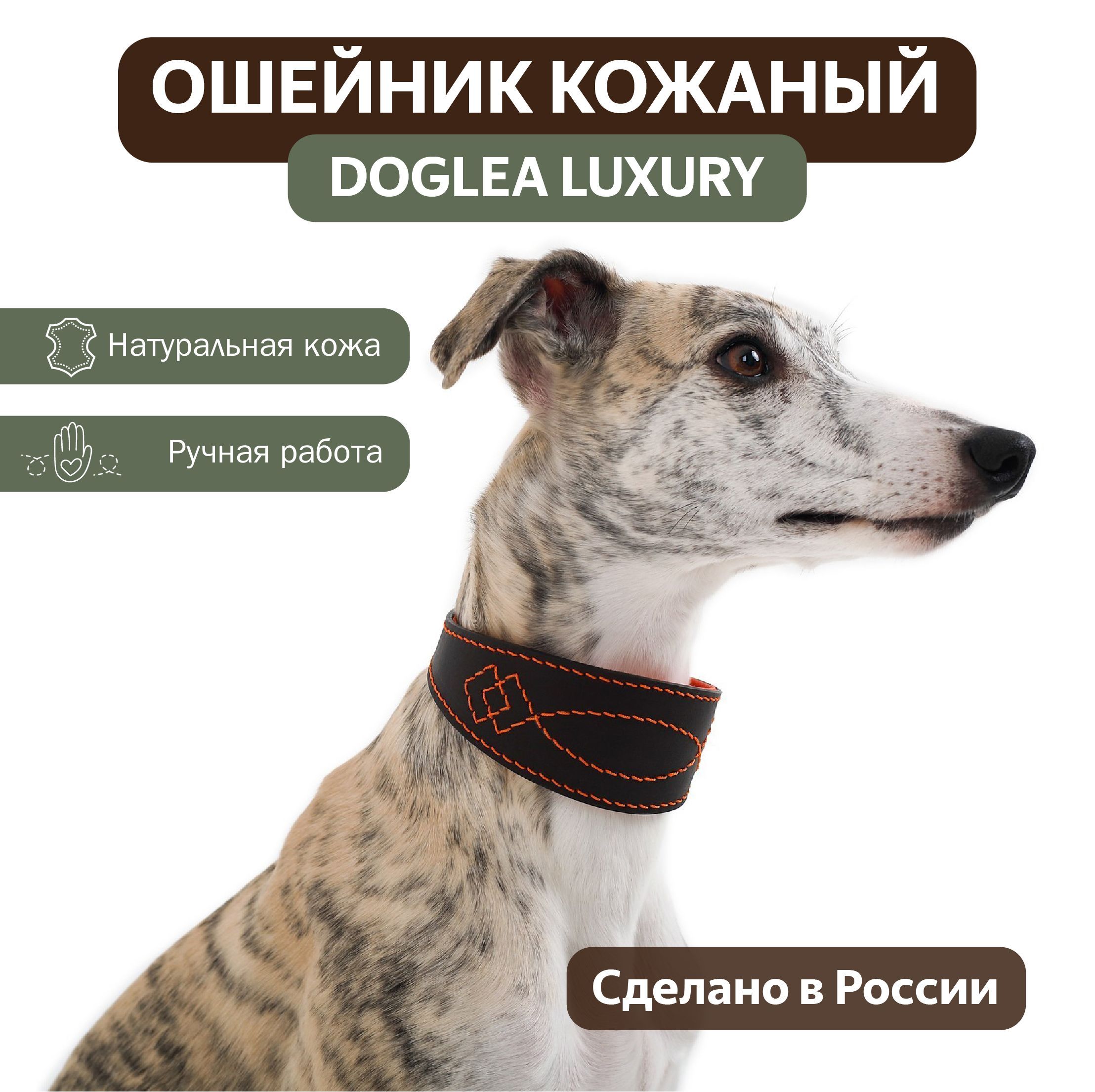 Collar Glamour ошейник для борзых, зеленый без украшений, 15 мм 26-32 см