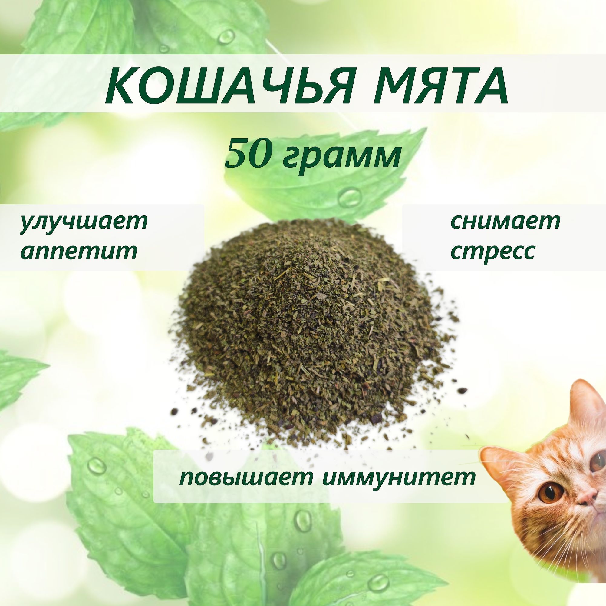 Мята для кошек купить