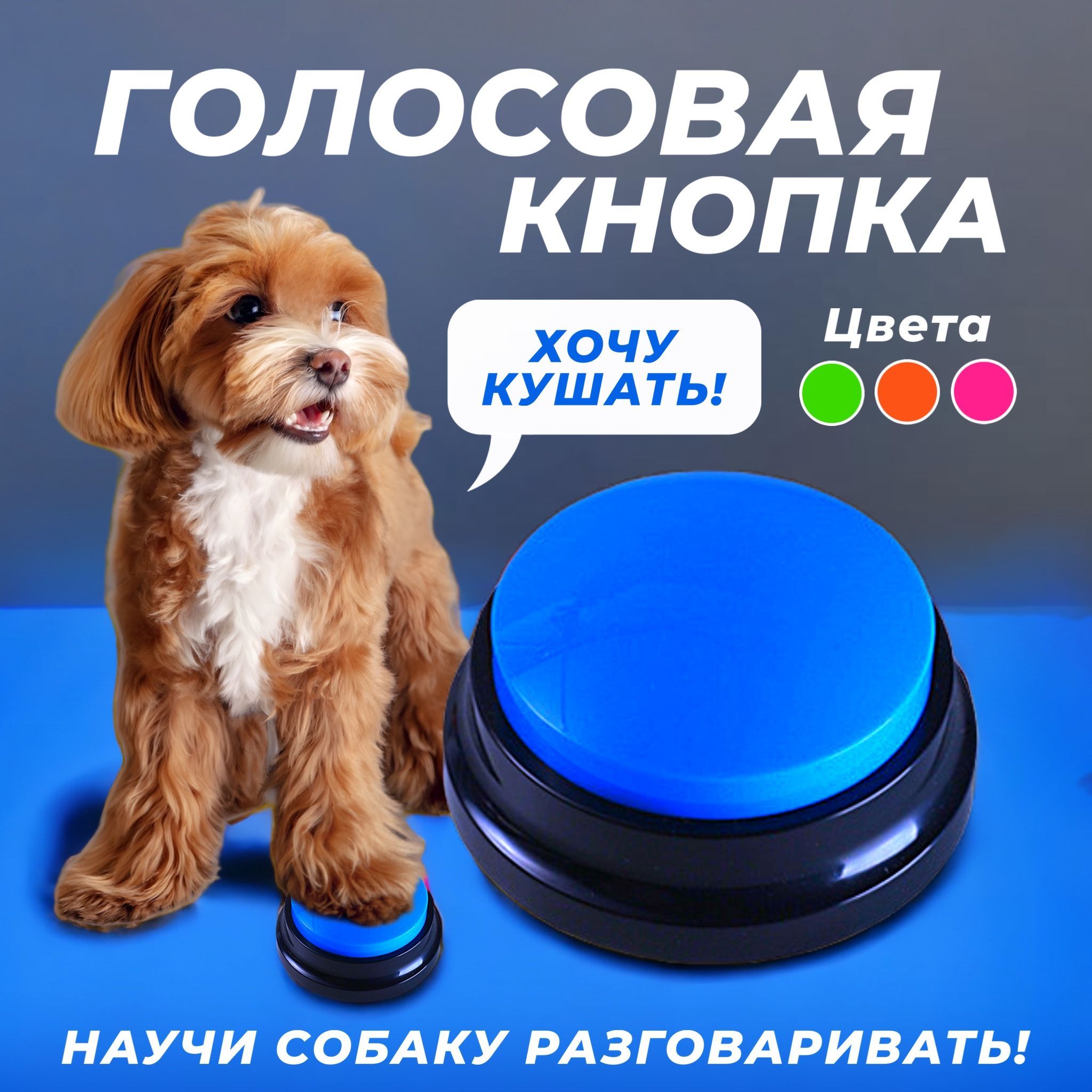 Голосовая кнопка для собак - купить с доставкой по выгодным ценам в  интернет-магазине OZON (461708183)