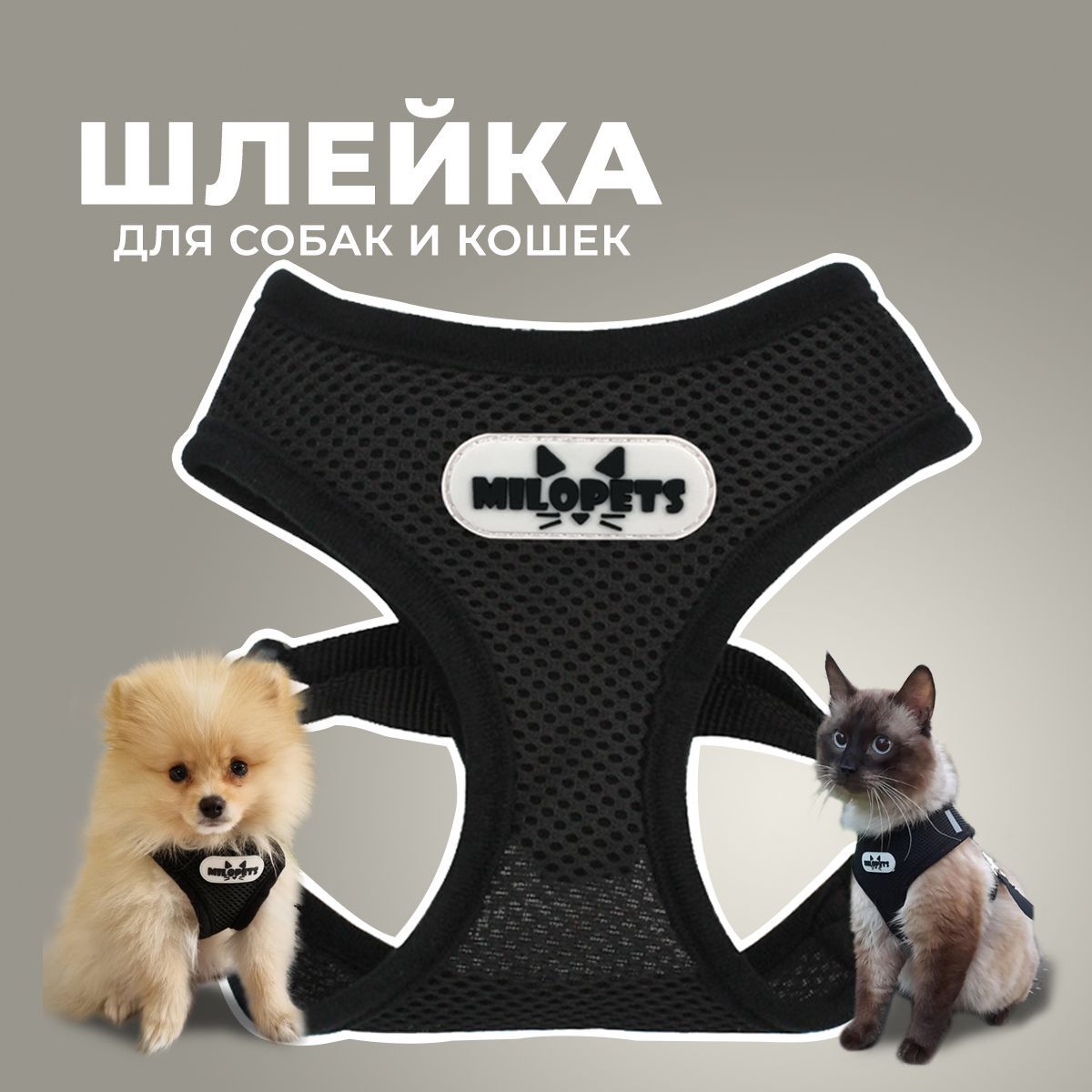 Шлейка для собак и кошек анатомическая MiloPets, с поводком 120 см, обхват  груди M 35-48 см, цвет черный - купить с доставкой по выгодным ценам в  интернет-магазине OZON (589283209)