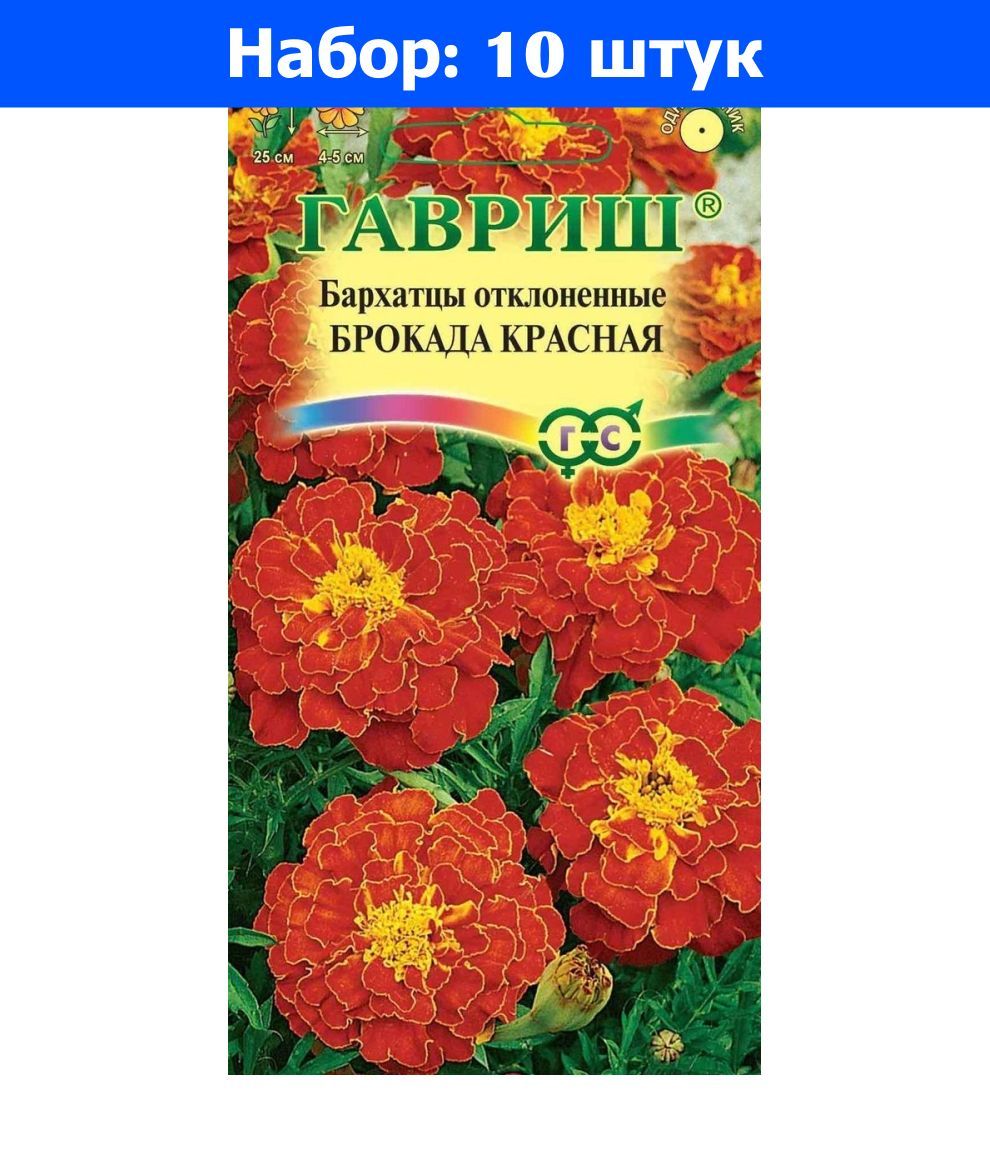 Бархатцы аура красная фото и описание NSD Fermer 6600 - купить по выгодным ценам в интернет-магазине OZON (1209656426)