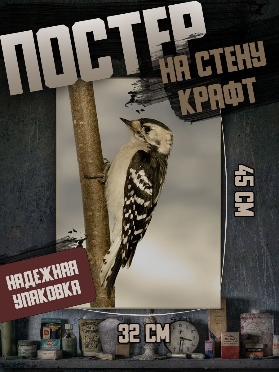 Постер Постеры на стену Птицы, 45 купить по выгодной цене в  интернет-магазине OZON (1183369091)