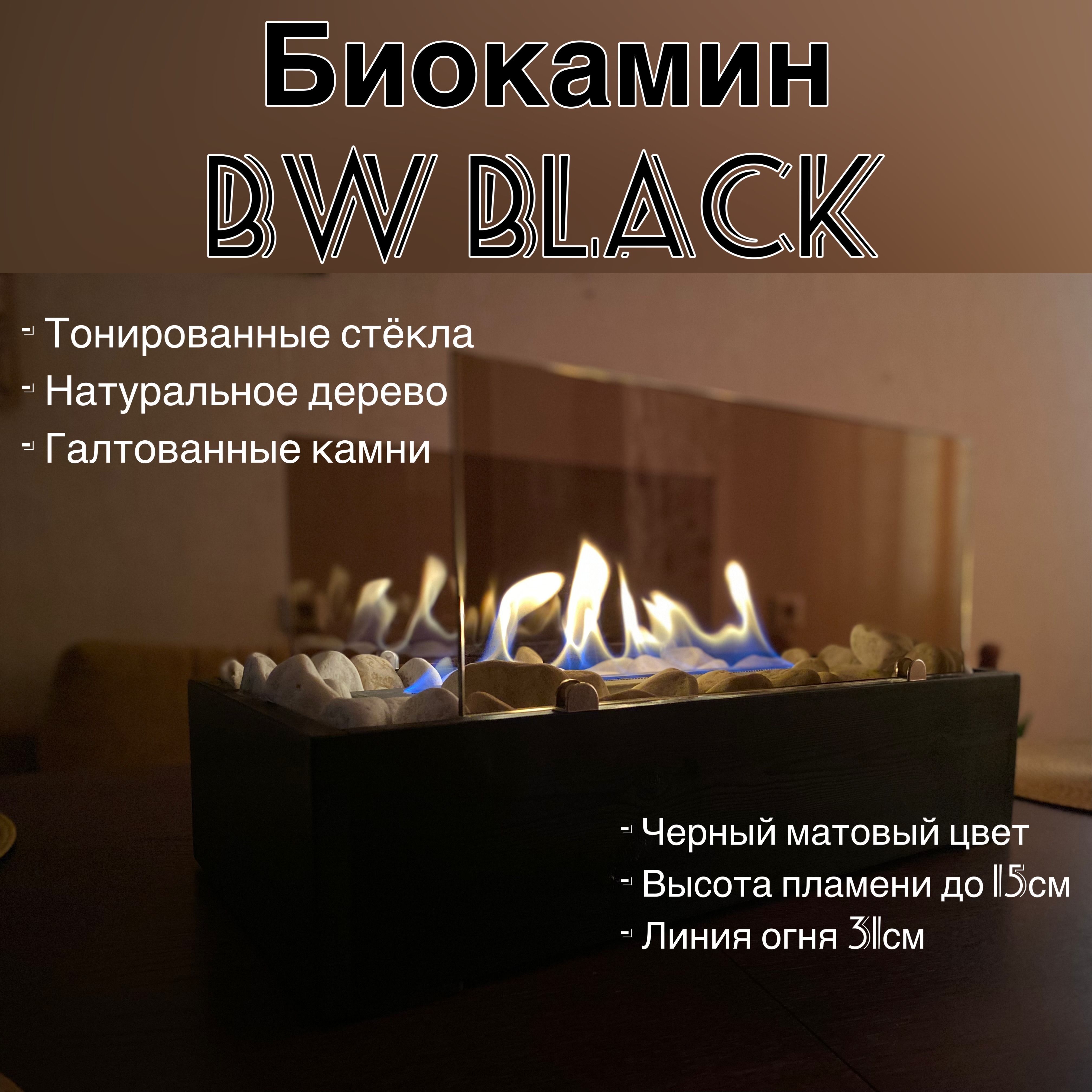 Биокамин BW Black 01, Напольная, Настольная установка - купить по низким  ценам в интернет-магазине OZON (1223536699)