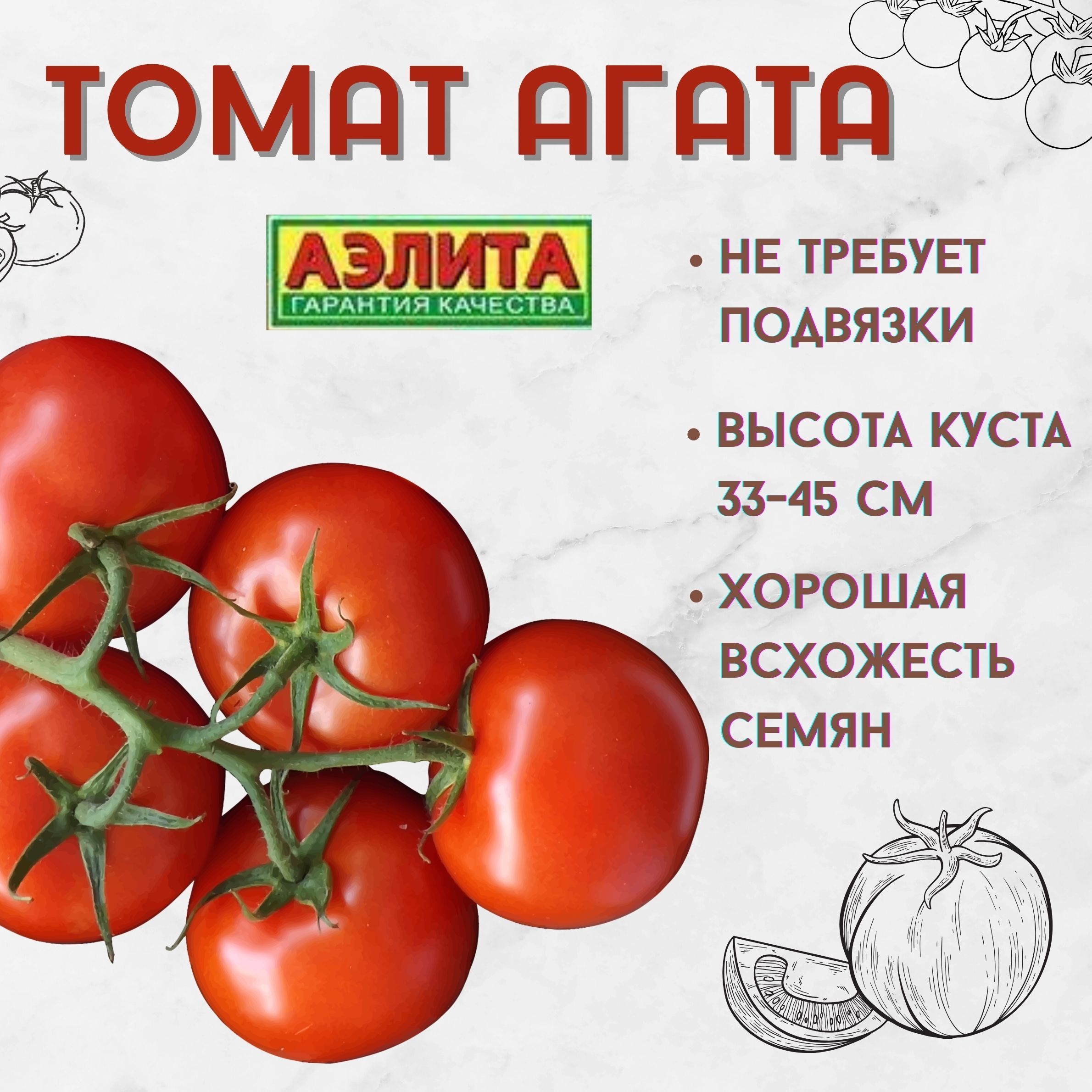 Томат агат характеристика и описание Томат агат характеристика и описание