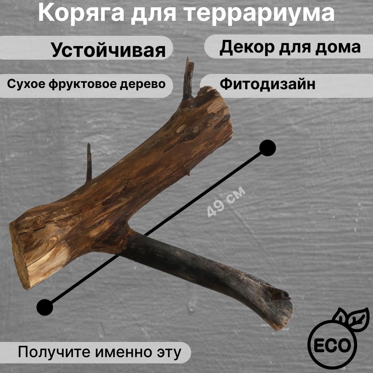 Коряга 49*40*24 см для террариума натуральная - купить с доставкой по  выгодным ценам в интернет-магазине OZON (1257919776)