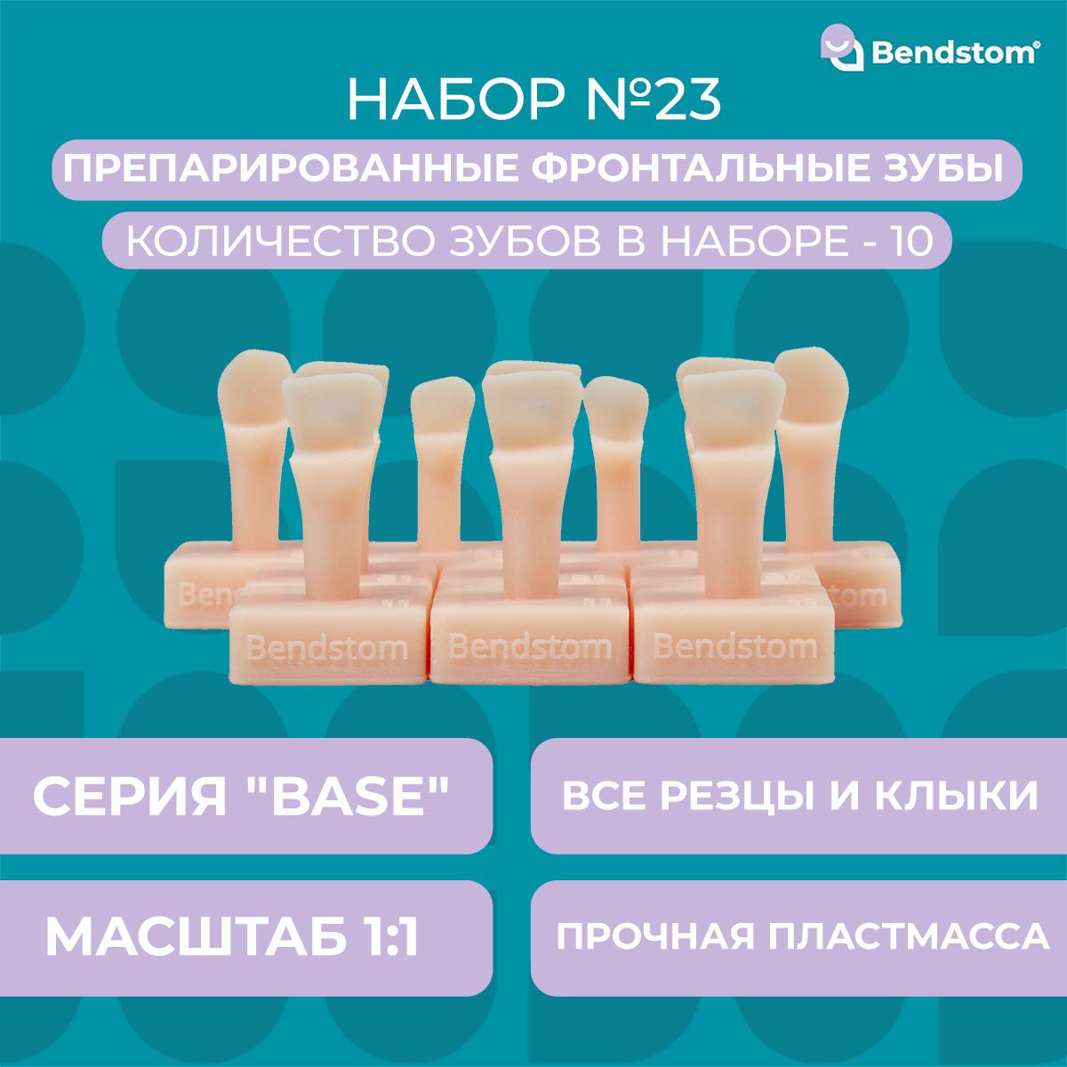 Набор №23 Base фронтальные зубы (10 штук) препарированные / для отработки мануальных навыков / стоматологические модели для реставрации