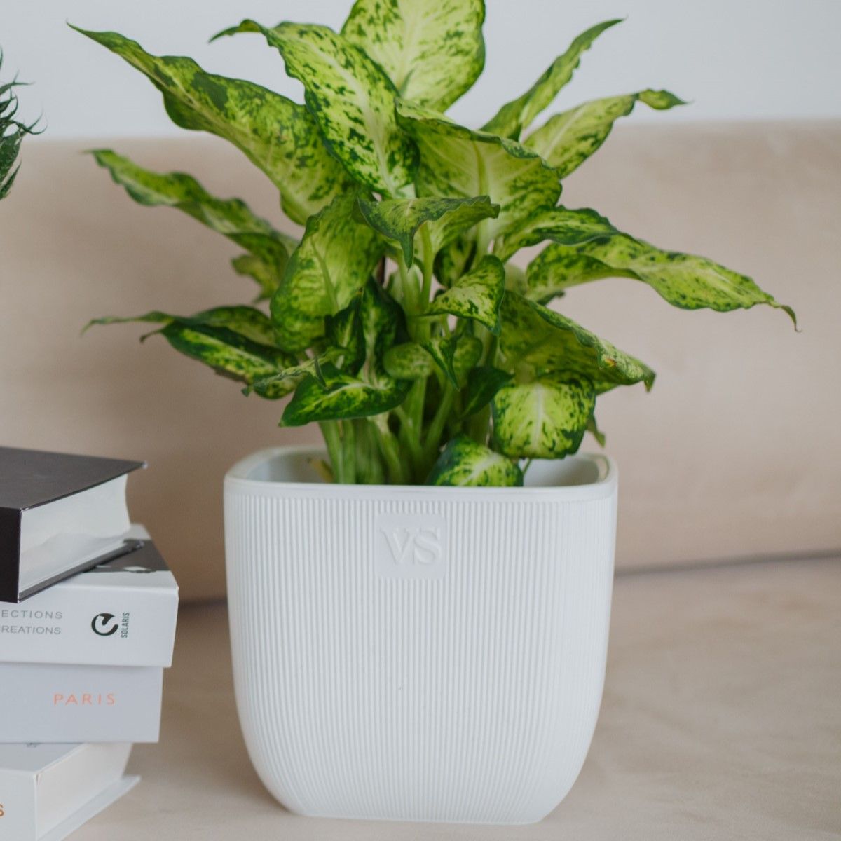 Горшок двойной Фабио с системой автополива 4,7л