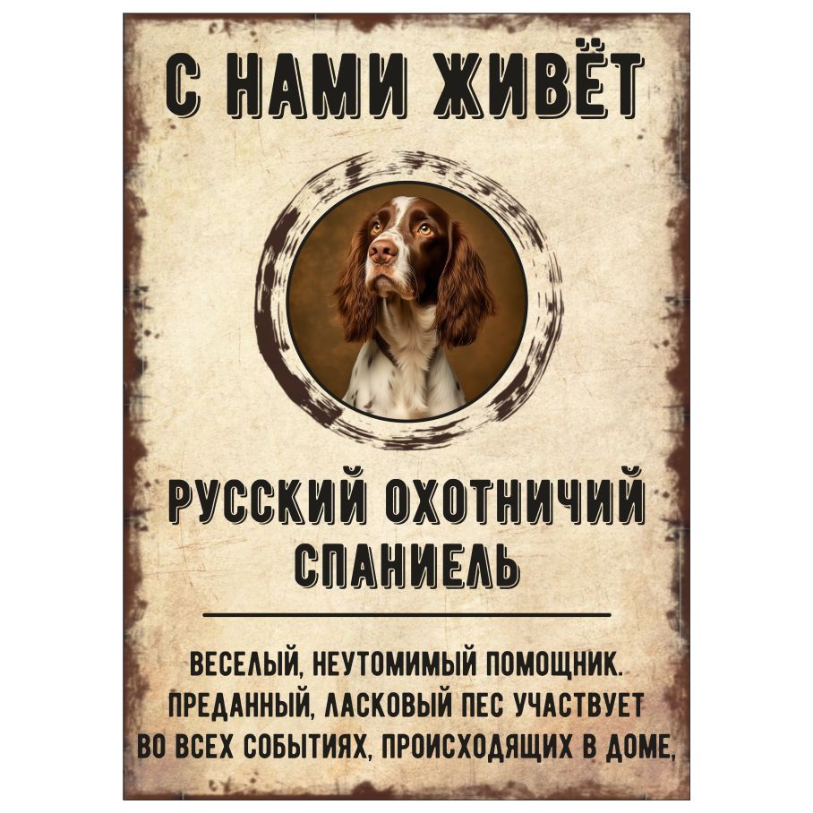 Табличка, декоративная, DANGER DOG, С нами живет Русский охотничий  спаниель, 18см х 25см