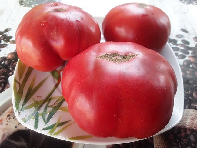 томаты гном малиновый. томат розамарин f1. томаты гном малиновый. томат гном малиновая нерка. томаты гном малиновый.