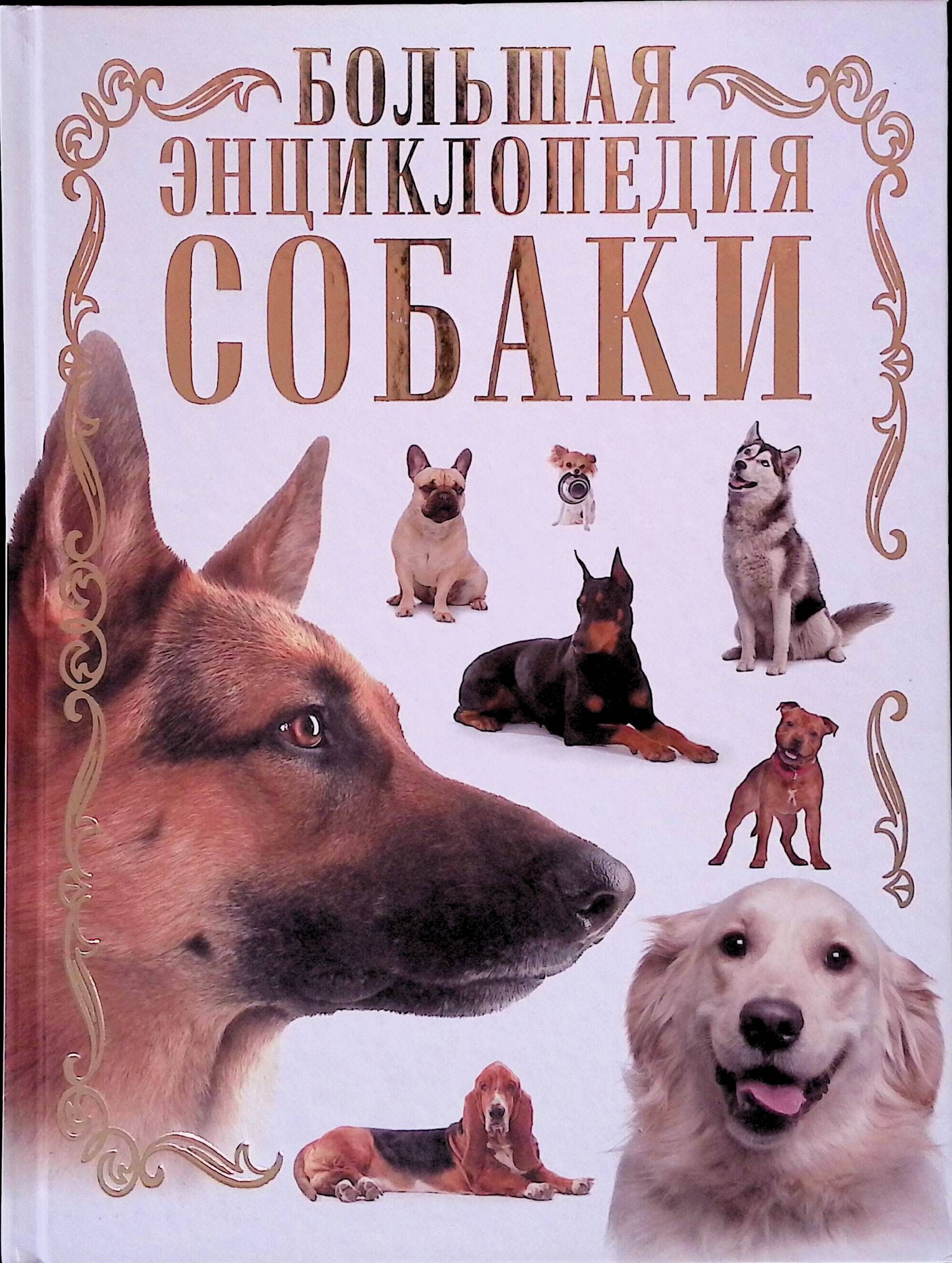 Собачьи книги. Книги про собак. Энциклопедия о собаках. Книга породы собак. Большая энциклопедия. Собаки