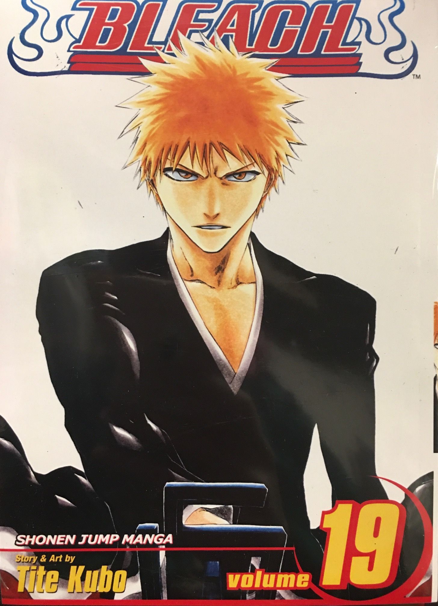 Блич (Bleach) 19 том. На русском языке. - купить с доставкой по выгодным  ценам в интернет-магазине OZON (1299983504)