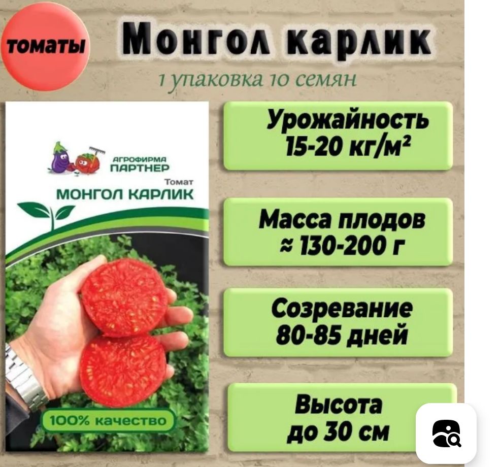 Монгол карлик партнер