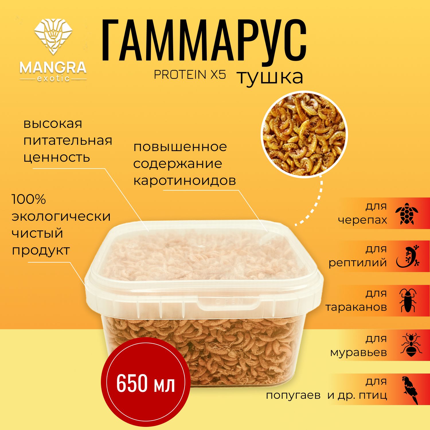 MANGRA exotic PROTEIN X5, 650 мл (тушка) - Гаммарус для черепах, рептилий,  тараканов, муравьев - корм сухой - купить с доставкой по выгодным ценам в  интернет-магазине OZON (1166946985)