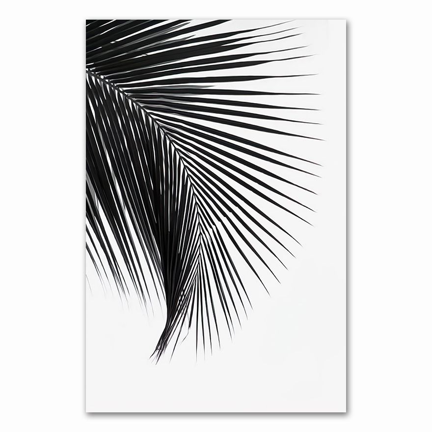 Черно белый постер а4 распечатать Картины Современные Black White Palm Tree Leaves Canvas S And Prints Min - купит