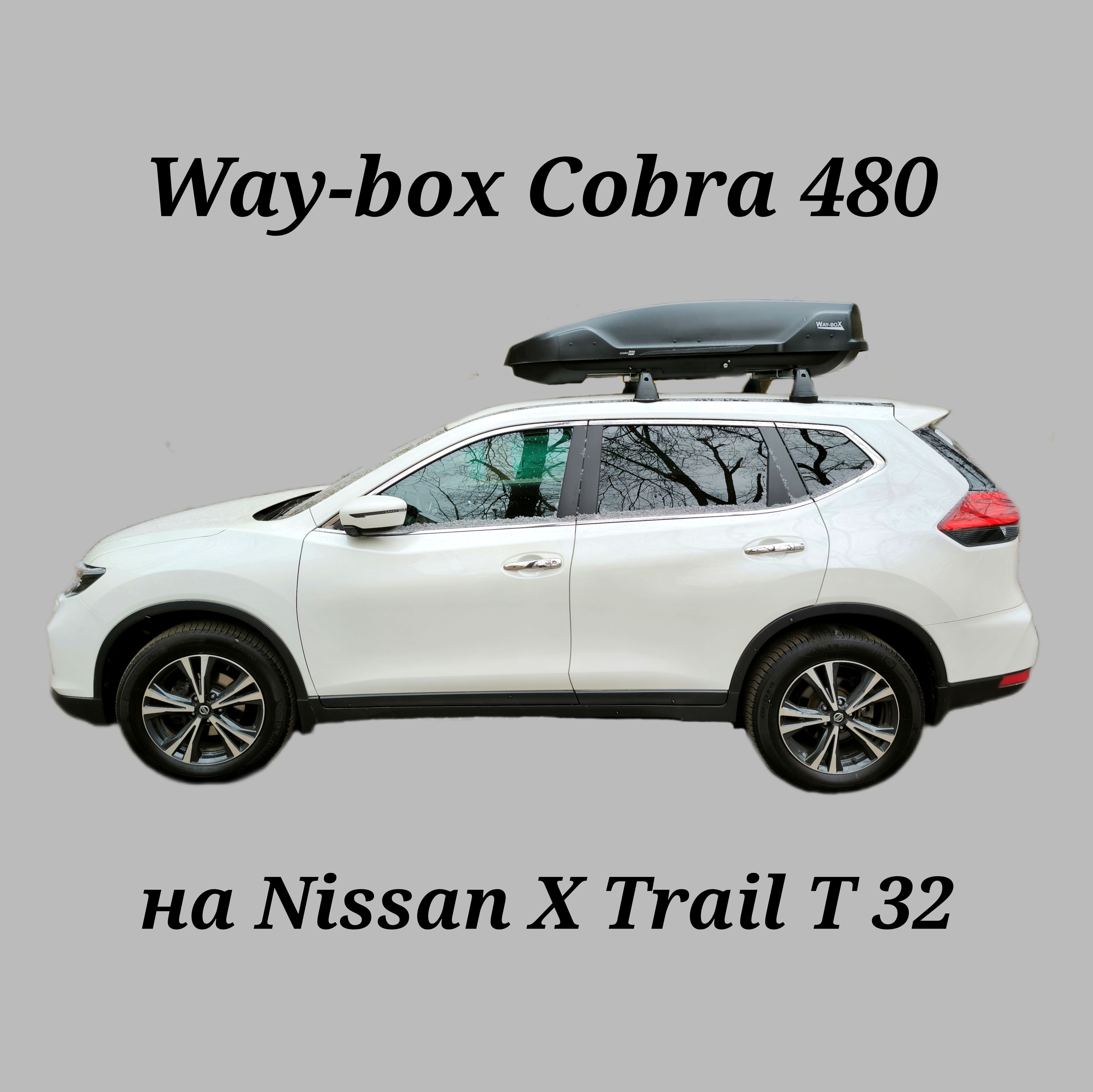 Way box cobra. Way box cobra