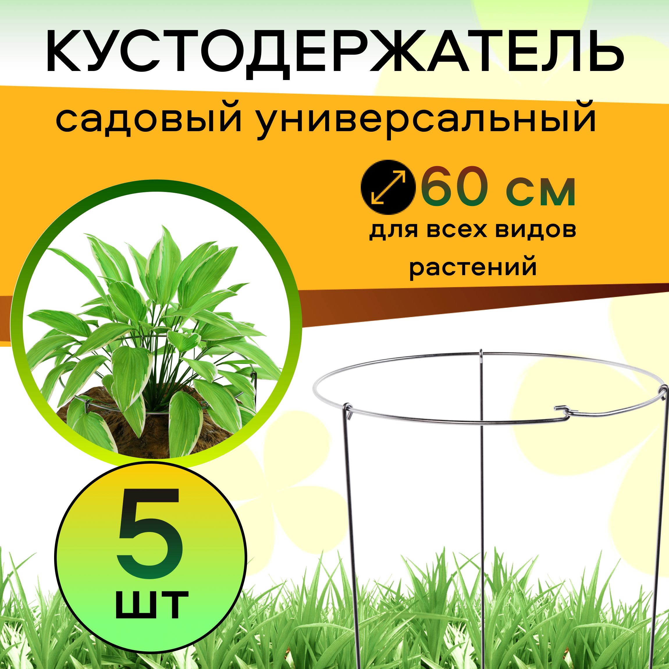 Кустодержатель...