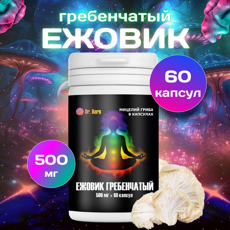 Dr.BornГрибысушеныеЕжовикгребенчатый50г.1шт.