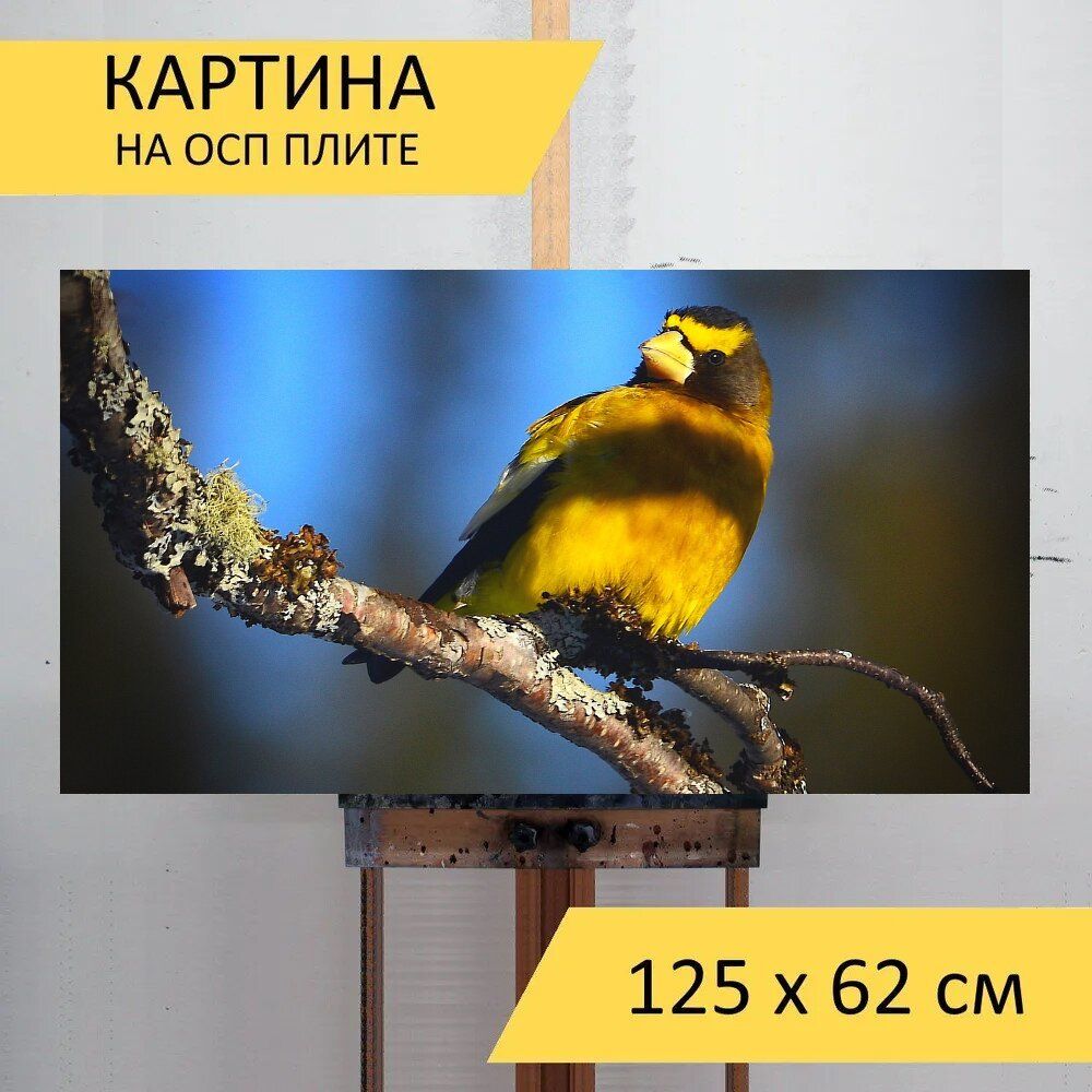 Картина ночи 