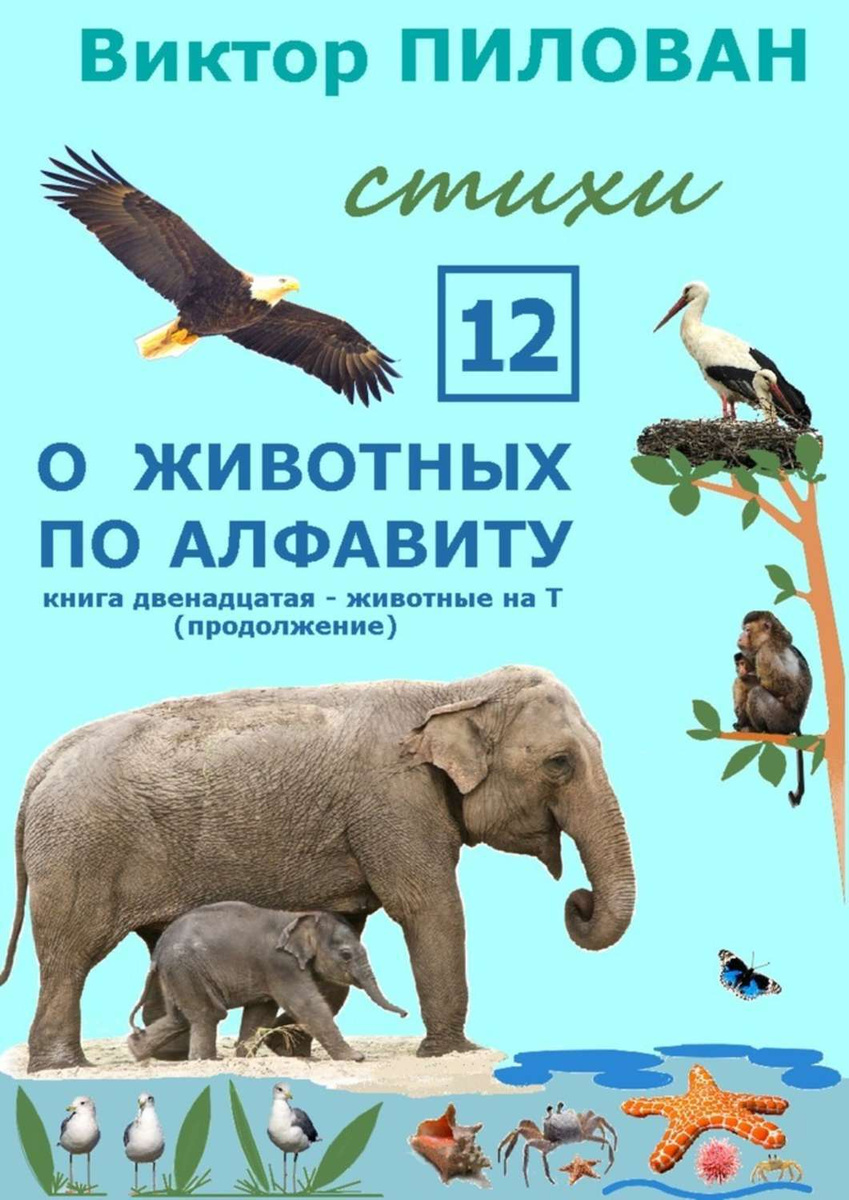 Загадки про животных по алфавиту с ответами для 1 класса с картинками