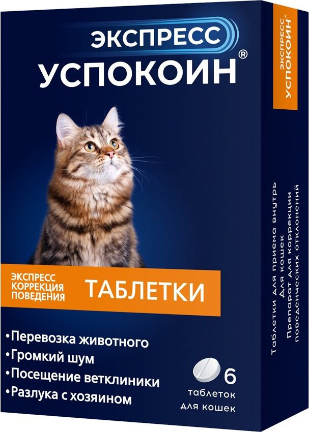 Кошка Ру Интернет Магазин