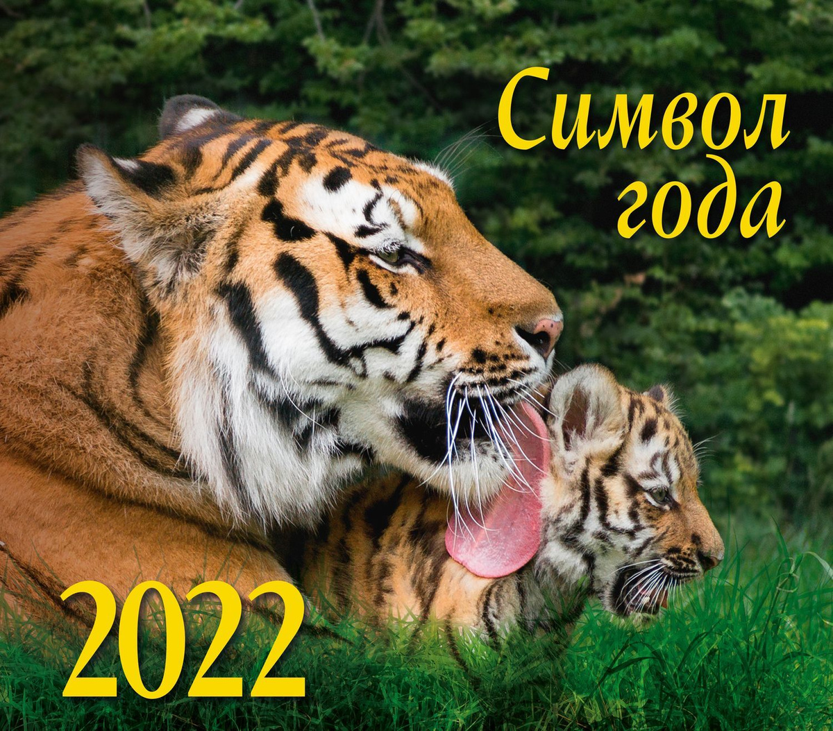 Домики Новые Серии 2022 Года Домики Новые Серии 2022 Года