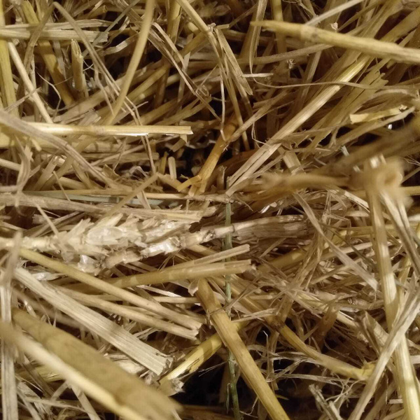 солома пшеничная - купить с доставкой по выгодным ценам в интернет ...