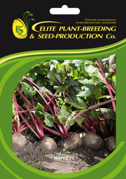 Свекла Элитная селекционно-семеноводческая компания ELITE PLANT ...