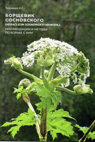 Борщевик Сосновского.(Heracleum sosnowskyi Manden.). Рекомендации и ...