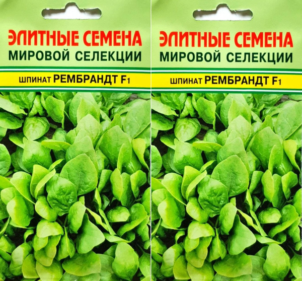 Шпинат шпинат рембрандт 2 шт - купить по выгодным ценам в интернет ...